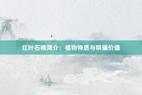 红叶石楠简介：植物特质与哄骗价值