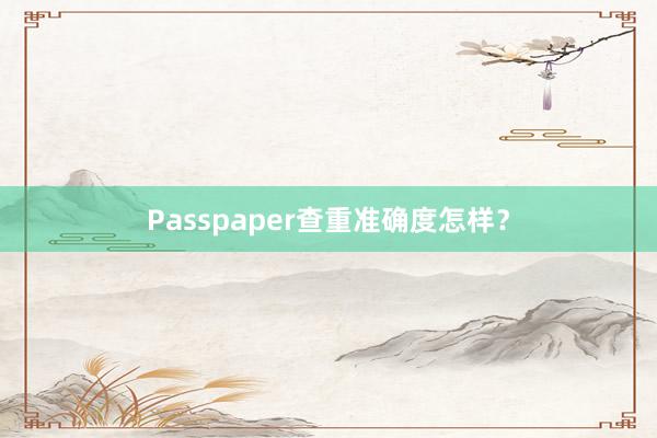 Passpaper查重准确度怎样？